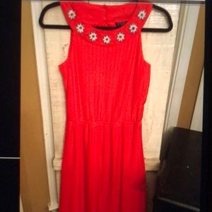 Tangerine in color with flowers on top